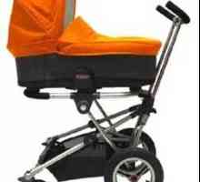 Invalidska kolica za zimu za novorođenčad: odabrati najbolje