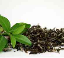 Tko je kontraindiciran u zelenom čaju? Zeleni čaj: koristi i štete