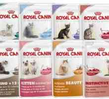 Mačka hrana „Royal Canin”: sastav i recenzije