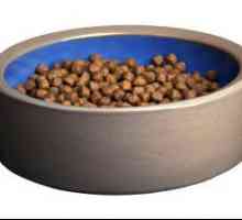 Feed za pse Premium: rating. Što je suha hrana za pse s premijom?