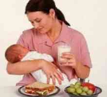 Skrb majka ili dijeta raznolika prehrana?