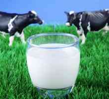 Masti, koristi i štete: mlijeko kravlje