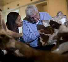 Dinosaur kosti, 60 godina ležao u ormaru, bili su najveći ikad pronađen u Brazilu