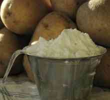 Škrob: koristi i štete. Korisna svojstva kukuruzni i krumpirov škrob