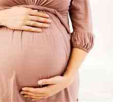 Krema za strije tijekom trudnoće: recenzije. Ocjena kreme za strije