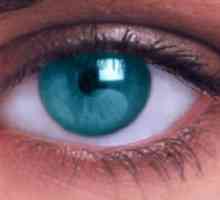 Laserska korekcija vida: pro i kontra od operacije