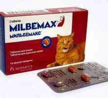 Liječenje infekcije helmintima: priprema „milbemaks” za mačke