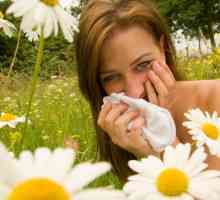 Tretman za proljetne alergije: prevladavanje bolesti
