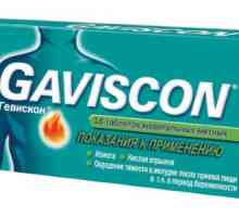 Lijek za kiselost želuca. `Geviskon`: Upute za uporabu