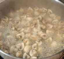 Pismenost kampanje: kako kuhati gljive prije pečenja?