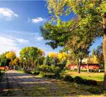 Lipetsk: Donja park. Povijest i opis predmeta