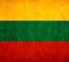 Litvanski veleposlanstvo u Moskvi, adresa, web stranica, viza