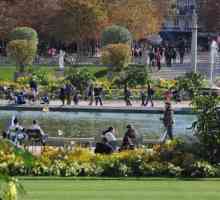 Luksemburški vrtovi. Palača i park ansambl u Parizu