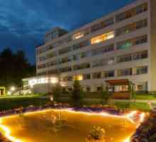 Best hoteli Valdai: Pregled