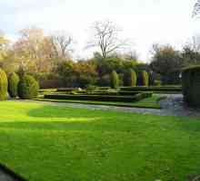 Najbolji parkova u Londonu: St. James, Hyde Park, Richmond, Victoria, Kensington Gardens, Green Park
