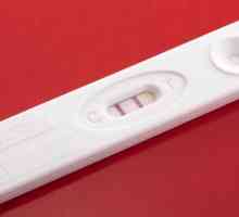 Većina testove trudnoće u ranim fazama: naziv