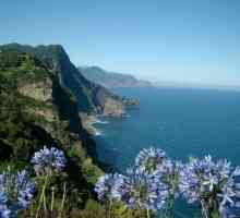 Madeira. Mišljenje o ovom cveta otoku