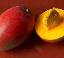 Mango (voće): opis i fotografije. Gdje raste mango? Koristi i štete od manga