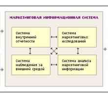 Informacijski sustav