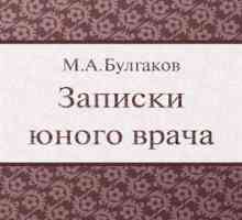 Mihail Bulgakov: „Mladi liječnik bilješke”: sažetak i analizu