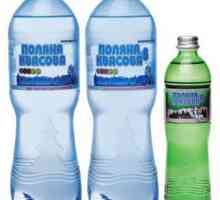Mineralna voda „Polyana Kvasova”: svojstva, primjena značajke, indikacije i…