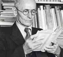 Svijet klasična literatura Hermann Hesse, Kurt Vonnegut i Henry Miller