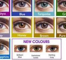 Mekane leće u boji freshlook colorblends: opis, korisničke ocjene i recenzije