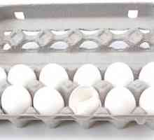 Mogu jesti jaja svaki dan? Što je šteta na dnevnoj potrošnji jaja?