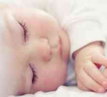 Mogu li novorođenče spavati na trbuhu nakon hranjenja? Mogu li spavati na trbuhu novorođenče mama?