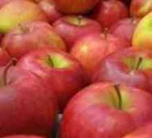 Je li moguće zamrznuti jabuke za zimu, tako da su bili ukusni i zadržane vitamini
