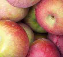 Je li moguće zamrznuti jabuke za zimu, a što ih kuhati?