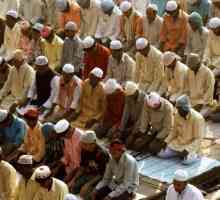 Muslimanski svijet: Suniti i Šijiti