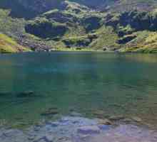 Mzy - jezero u Abhaziji. Rezervoar opis, njegove karakteristike, mjesto i zanimljivosti