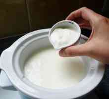 „Narine” (kvasac) upute za upotrebu bakterija mliječne kiseline u kući