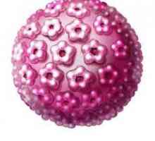 Kako opasno je HPV 16