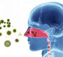 Curenje iz nosa i kihanje bez temperature: mogući uzroci, liječenje