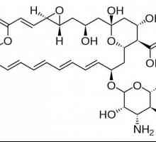 „Natamycin”: upute za uporabu. Masti, čepići i tablete…