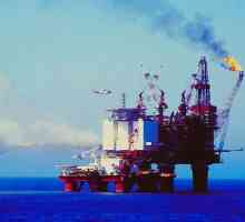 Zemlje izvoznica nafte: povijest i suvremenost