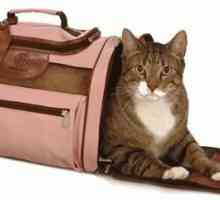 Potrebna domaćica pahuljasto preo atribut - prijevoznik za mačke