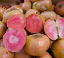 Neobična sorte jabuka ružičaste bisere