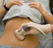Norme veličine maternice ultrazvukom tijekom trudnoće i nakon poroda. Normalno veličina maternice i…