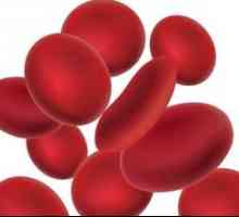 Što se može reći povišen crvenih krvnih stanica u krvi