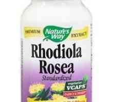 Tonik tinktura „Rhodiola rosea”: Upute za uporabu