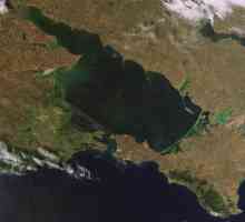 Opis Azovsko more: područje, dubina i faune