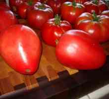 Opis i ocjena rajčice „Mazarin”