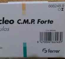 Opis proizvoda „nukleo CMF Forte”. Indikacije za uporabu i povratne informacije