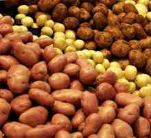 Krumpira sorte Opis Neva. Značajke i recenzije