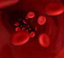 Određivanje krvne grupe krvnih djetetovih roditelja - zašto je to potrebno?