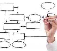 Organizacijska struktura poduzeća - primjer. Karakteristike organizacijske strukture