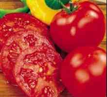 Izvorni recept: rajčica u želatinu